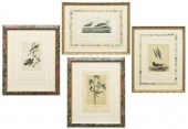 (4) FRAMED AUDUBON BIRDS OF AM