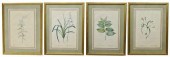 (4) FRAMED BOTANICAL ENGRAVING
