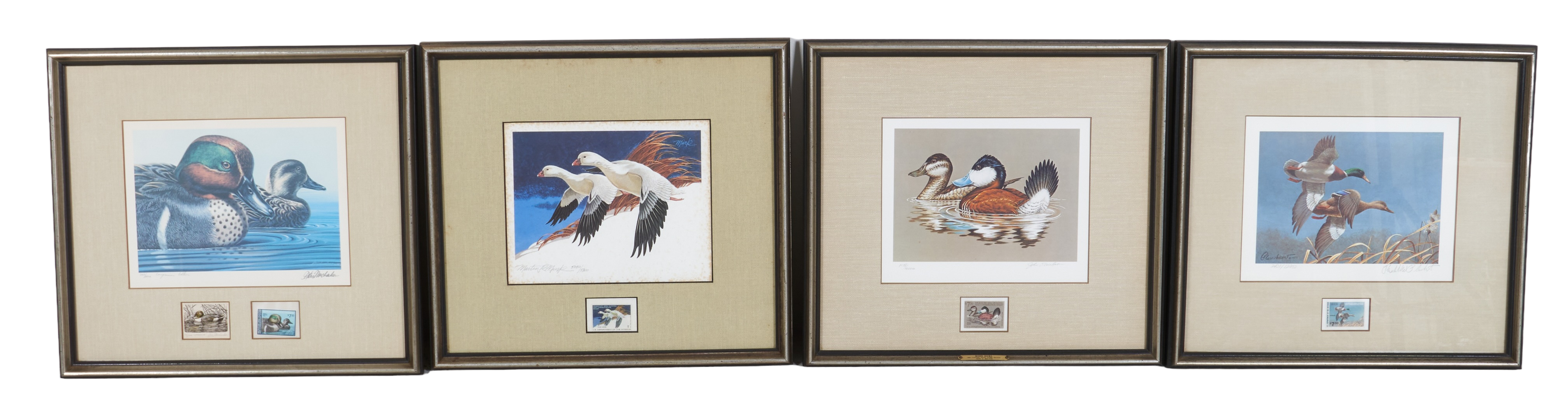 (4) Framed duck stamp prints,