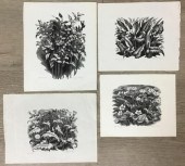 4 GEORGE MACKLEY WOOD ENGRAVIN