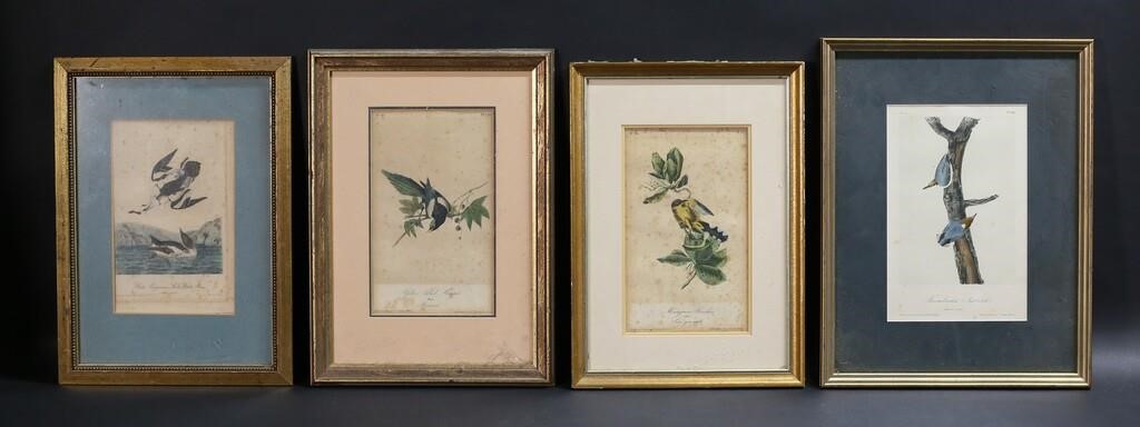 4 ORNITHOLOGICAL LITHOGRAPHS