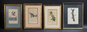 4 ORNITHOLOGICAL LITHOGRAPHS A