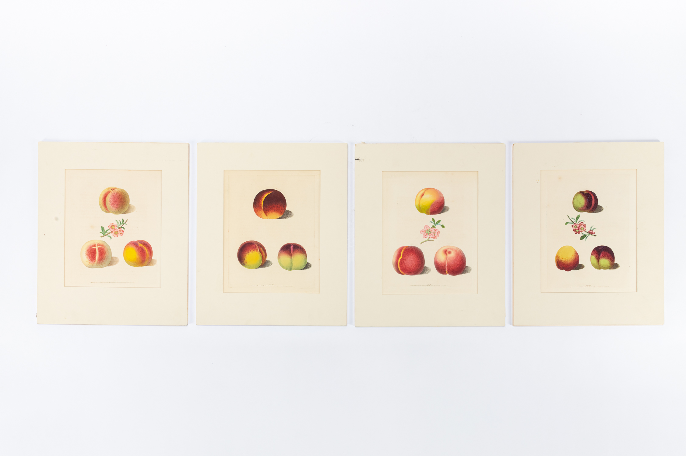 4 PCS, PEACH ENGRAVINGS, GEORGE