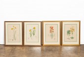 4 PIECES, ELWES LILY ENGRAVING