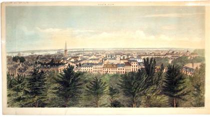 4 pieces  Hand-Colored Lithographs.