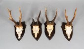 4 ROE DEER ANTLER MOUNTS4 Roe