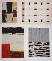 (4) Shinichi Kamatani (Japanes