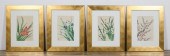 4 SHODO KAWARAZAKI FLORAL JAPA