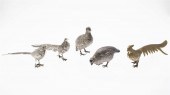 4 SILVERPLATE BIRDS AND A BRAS