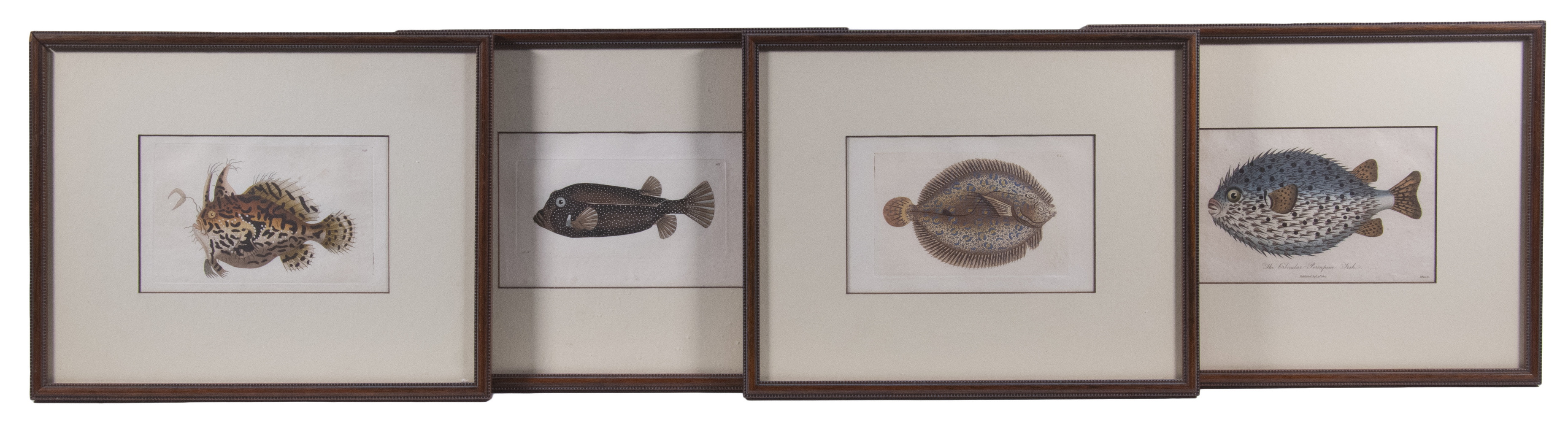 (4) SMALL FISH PRINTS, FRAMED