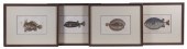 (4) SMALL FISH PRINTS, FRAMED