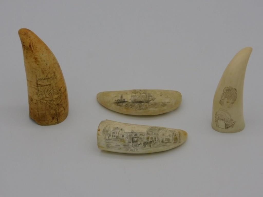 (4) SMALL SCRIMSHAW WHALES TEETH,