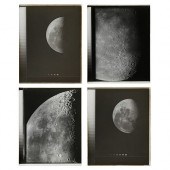 4 VINTAGE MT. WILSON DRY PLATE