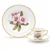 (40) PIECE COPELAND SPODE RHOD