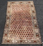 4'3" X 7'9" BALOUCHI ORIENTAL