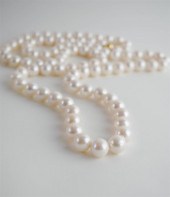 46 INCH 12-14MM SOUTH SEAS PEA