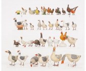 46 vintage composition geese,