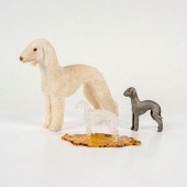 4PC GROUPING OF BEDLINGTON TER