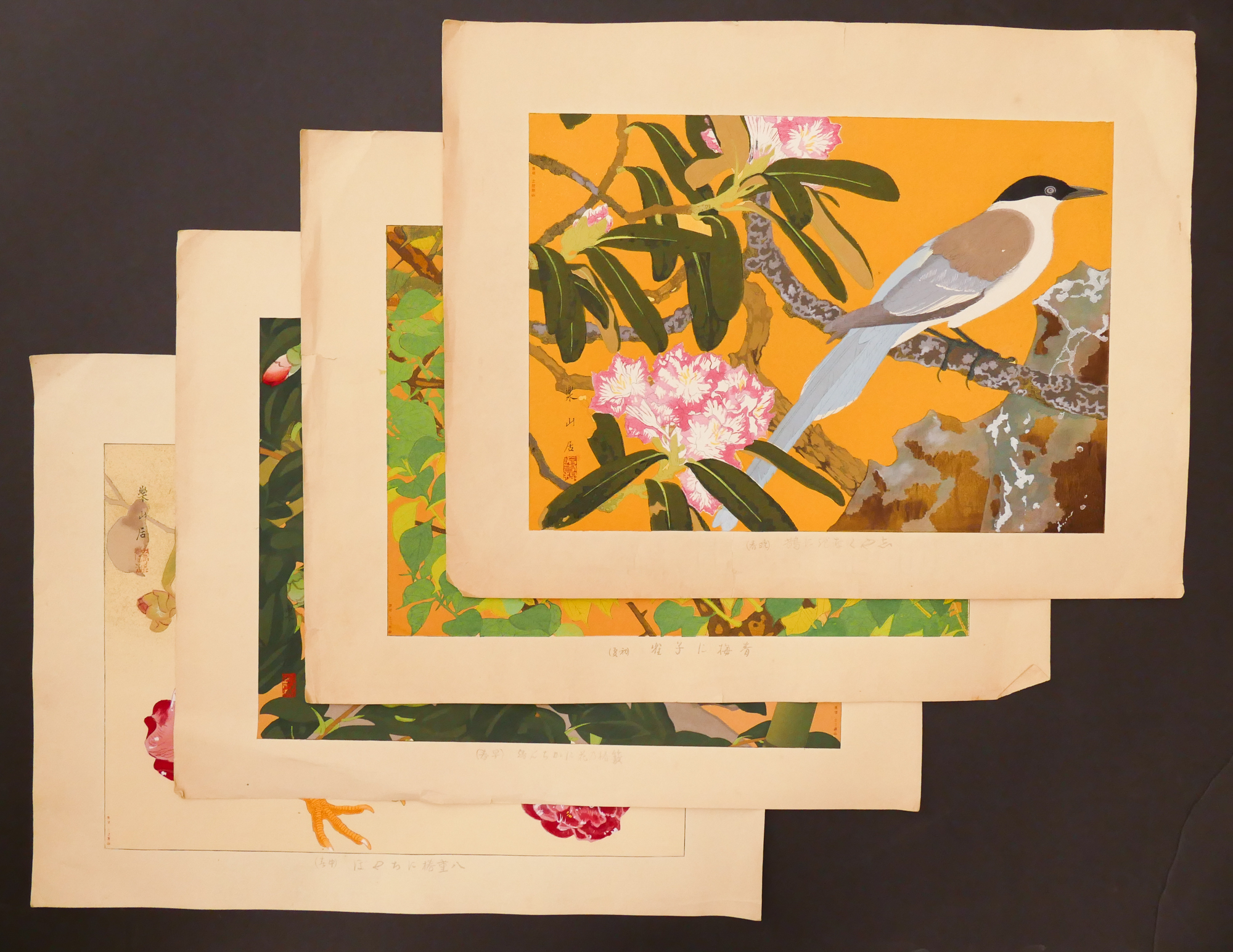 4pc Rakusan Tsuchiya Bird