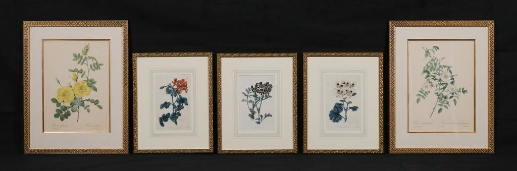 5 BOTANICAL PRINTS & ENGRAVINGS