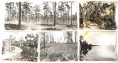 (5) BURGERT BROTHERS PHOTOGRAP