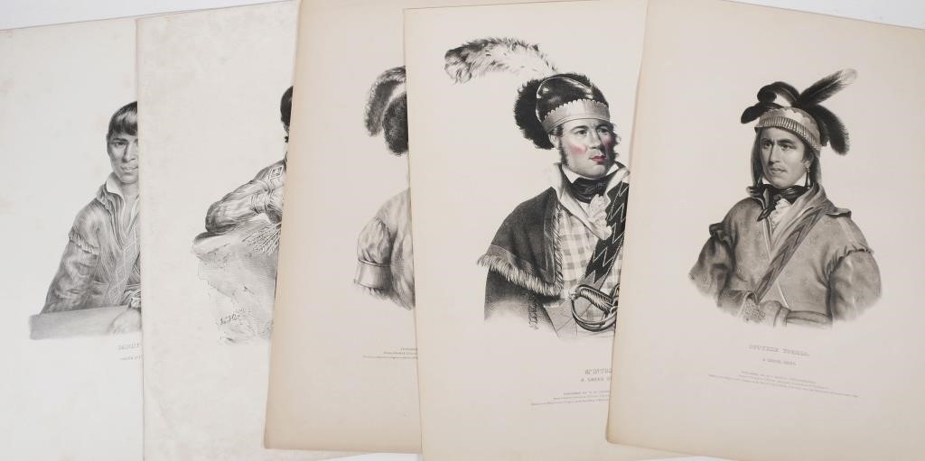 (5) CHARLES BIRD KING NATIVE