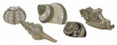 (5) DECORATIVE SILVER-CLAD & B