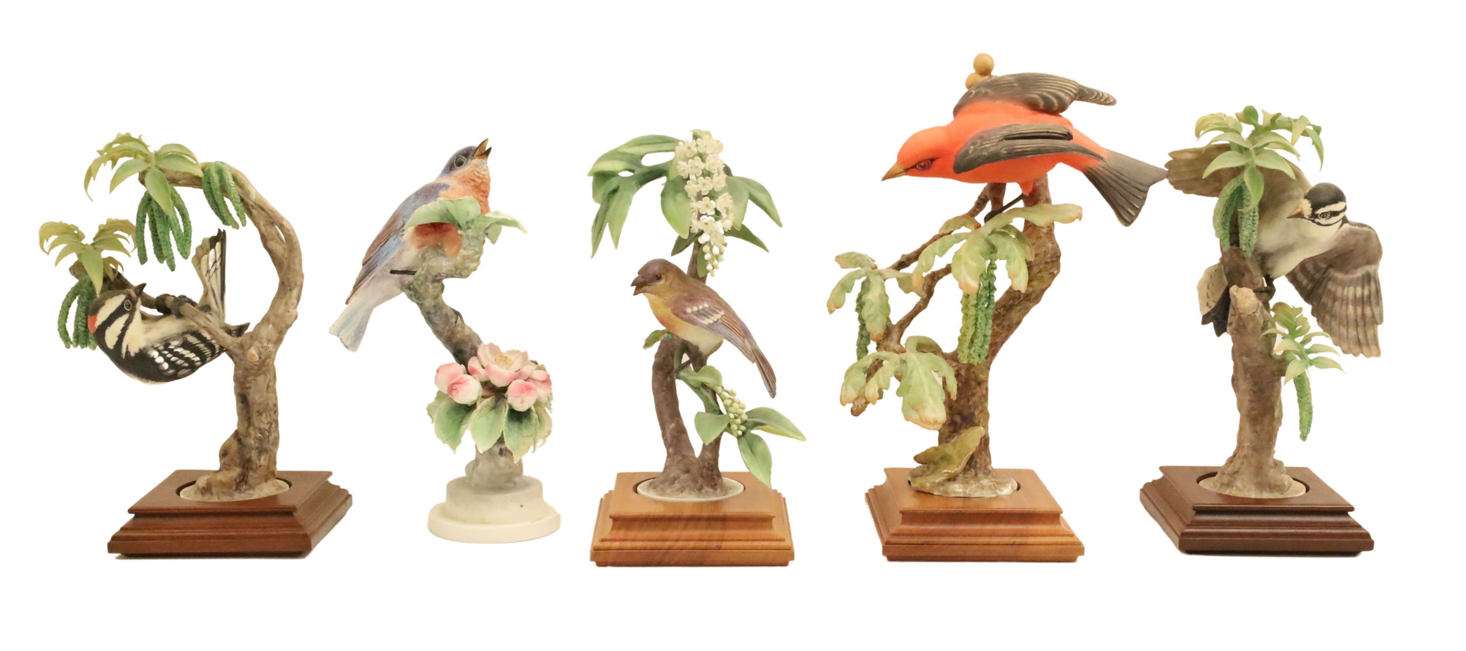 5 DOROTHY DOUGHTY PORCELAIN BIRD