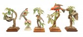 5 DOROTHY DOUGHTY PORCELAIN BI