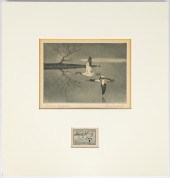 (5) FEDERAL DUCK STAMPS & LITH