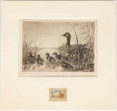 (5) FEDERAL DUCK STAMPS & LITH