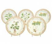 5 FLORA DANICA ROYAL COPENHAGE