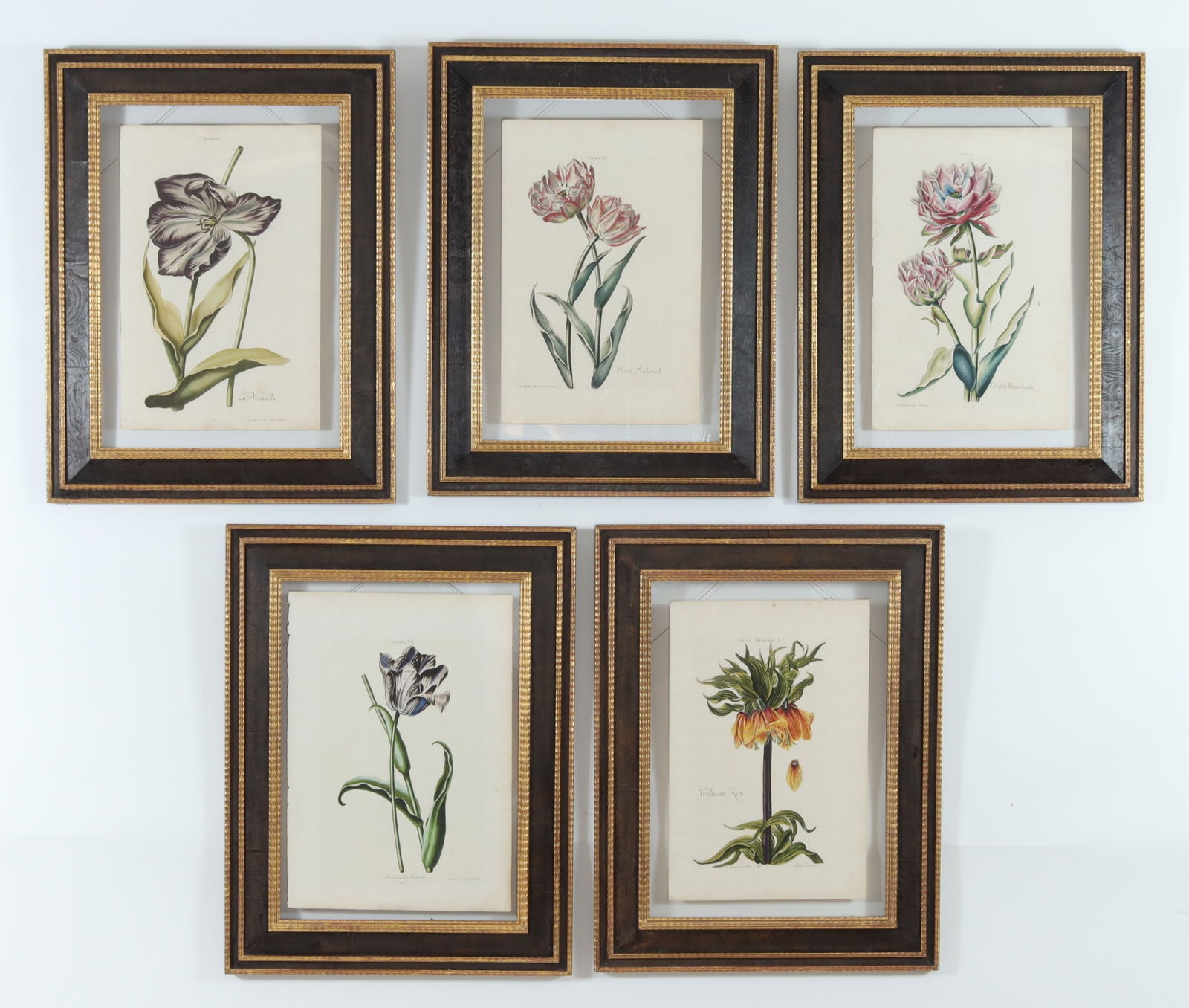 5 HAND COLORED BOTANICAL PRINTS5