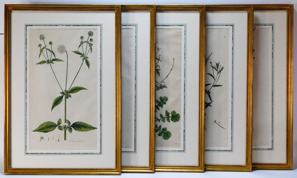5 JAMES SOWERBY HAND COLORED