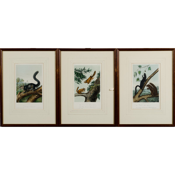 5 Later Audubon Prints Plus 1 Owl