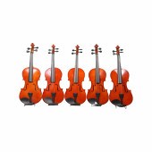 (5) Modern production 4/4 viol