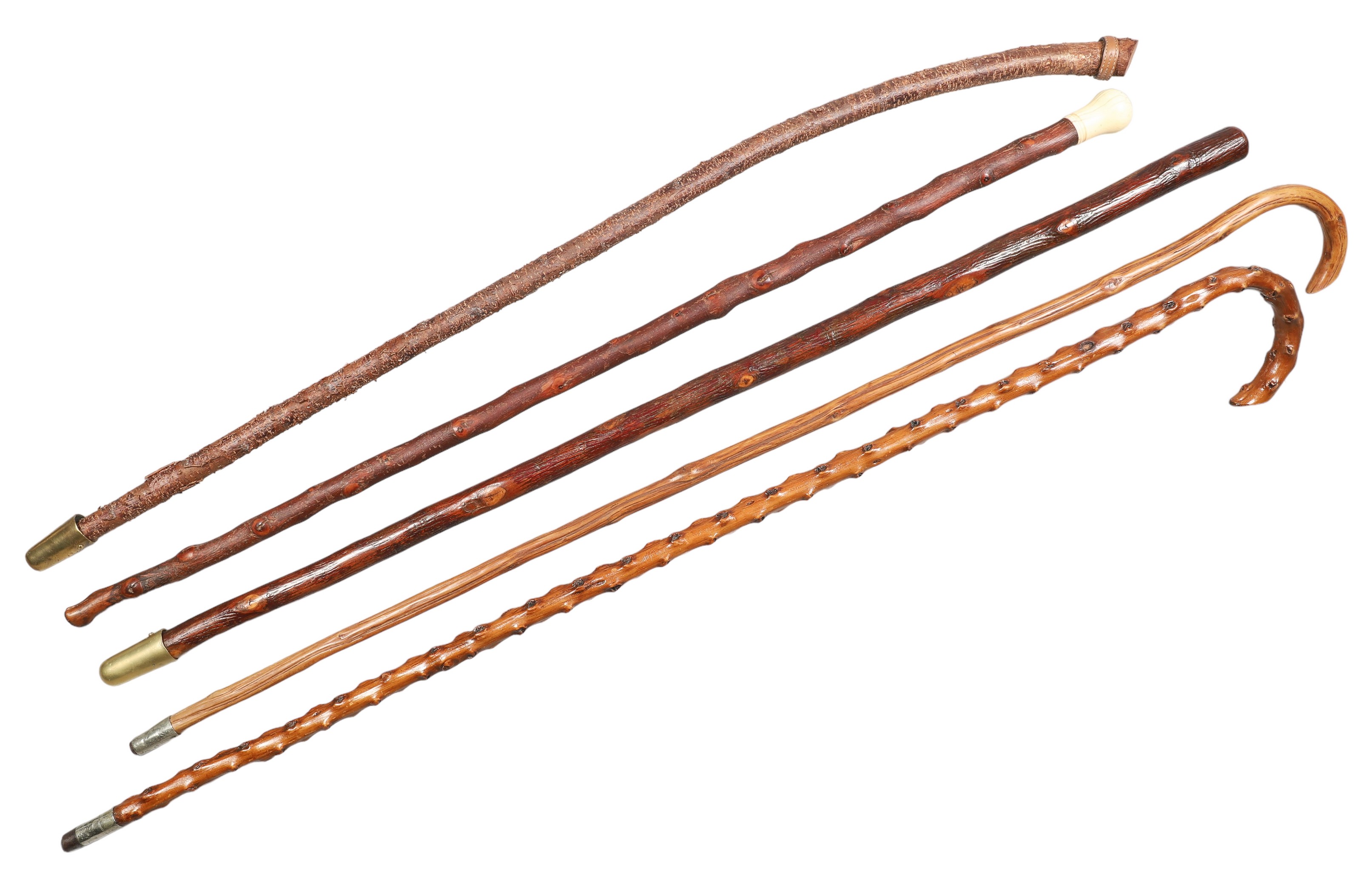 (5) Twig cane walking sticks,