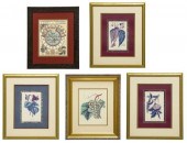 (5) VARIOUS FRAMED FINE ART PR