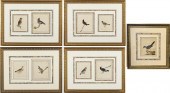5 WILLIAM LEWIN WATERCOLORS OF