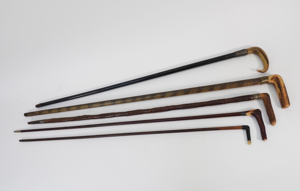 5PC ASSORTED HORN HANDLE CANES