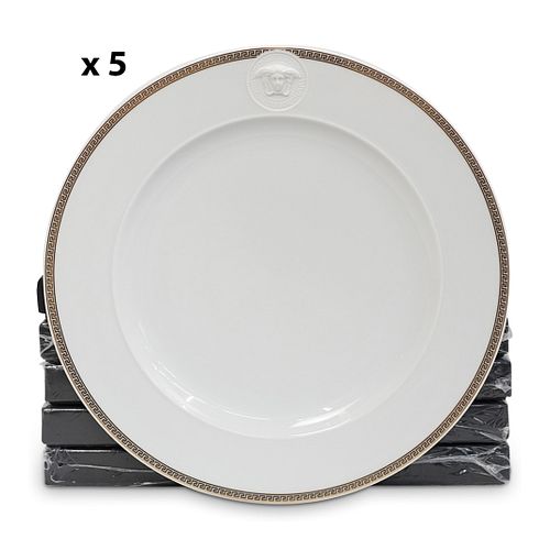 (5PC) VERSACE ROSENTHAL IKARUS