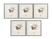 5PCS 1975 FEDERAL DUCK STAMP P