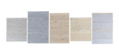 5PCS RECONSTRUCTION FREEDMAN L