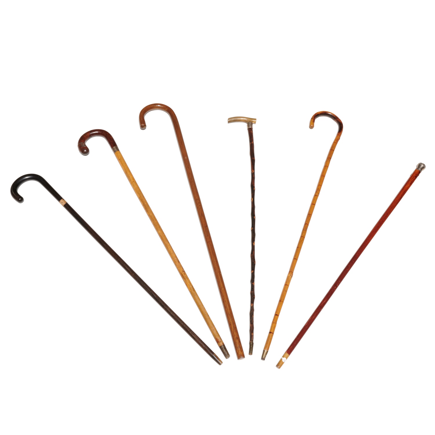 (6) ANTIQUE CANES, INCL. HOLUSKA