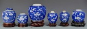 6 CHINESE PORCELAIN HAWTHORNE