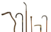 (6) COLLECTION OF WALKING STIC