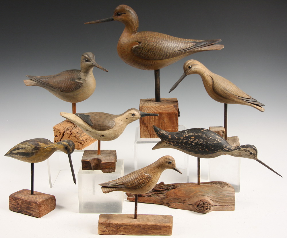 (6) DAVID B. WARD BIRD