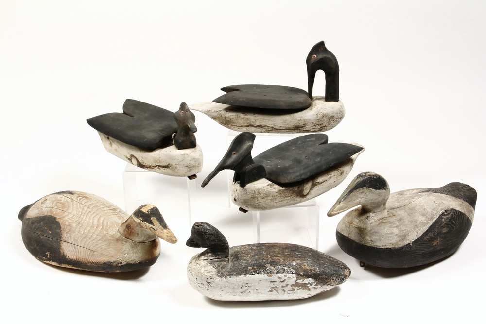(6) EIDER DUCK DECOYS - All are