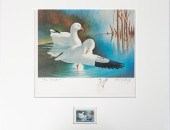 (6) FEDERAL DUCK STAMPS & LITH