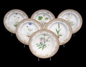6 FLORA DANICA DEEP PLATES #20